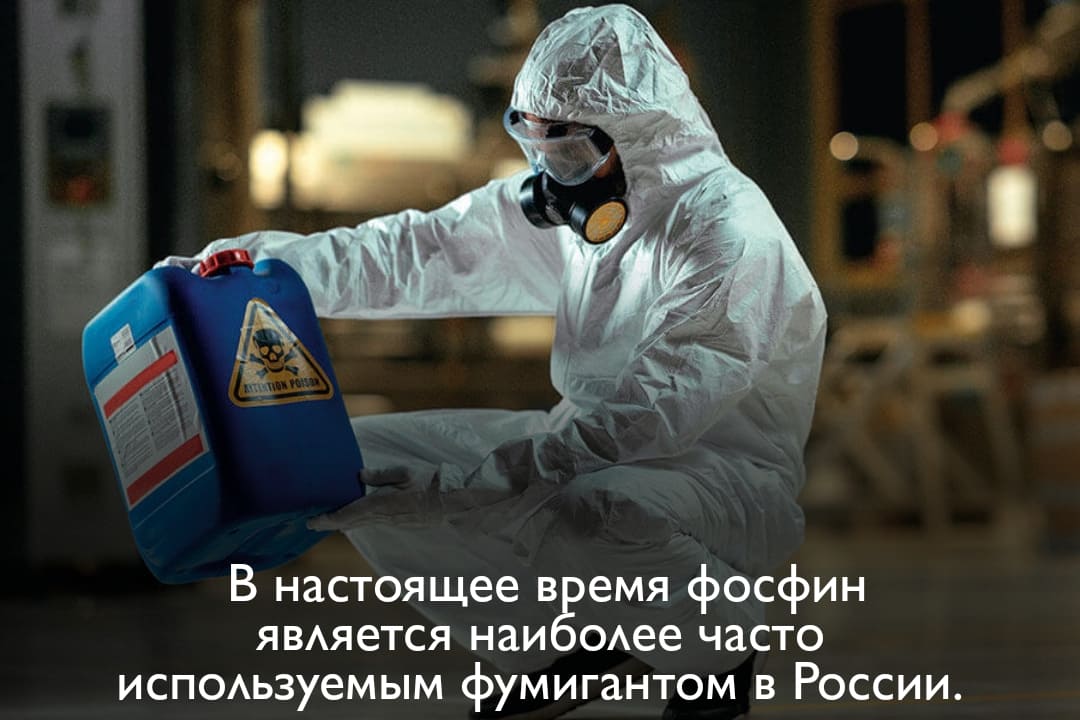 СЭС Центр фумигация дома фосфином от жуков ДезКлиник Городская служба услуги фумигации фосфином от насекомых ДезКлиник