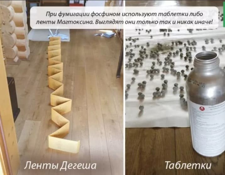Санитарно Эпидемиологическая Служба , оказываем услуги по фумигации фосфином ДезКлиник Служба фумигации газом фосфин , мы вам поможем избавиться от жуков в доме ДезКлиник