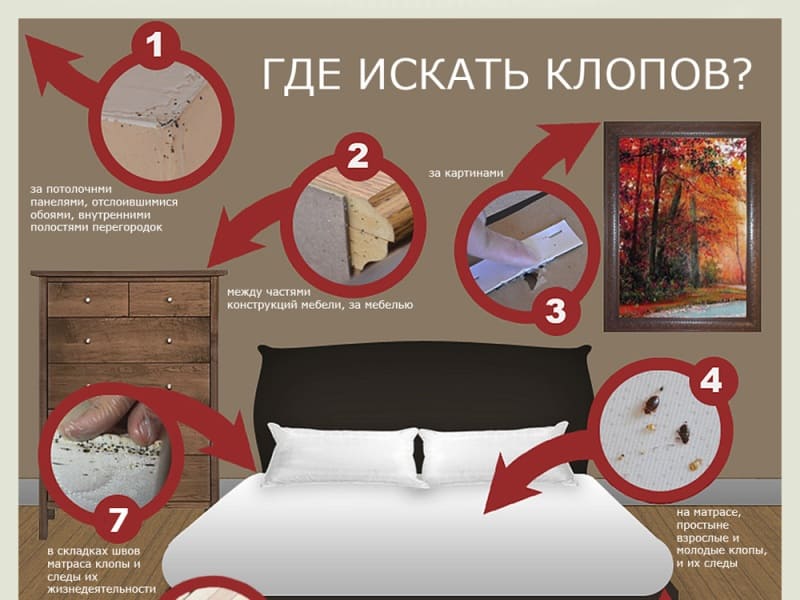 Городская СЭС ХОЛОДНЫЙ И ГОРЯЧИЙ ТУМАН Дезклиник